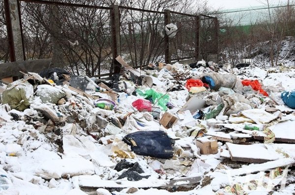 Помойка зимой