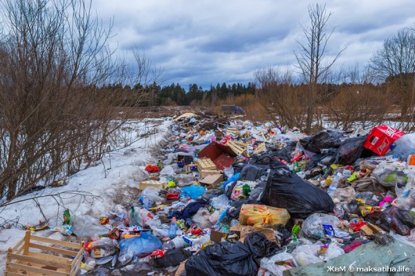 Свалка зима
