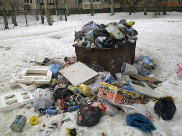 Зимняя помойка
