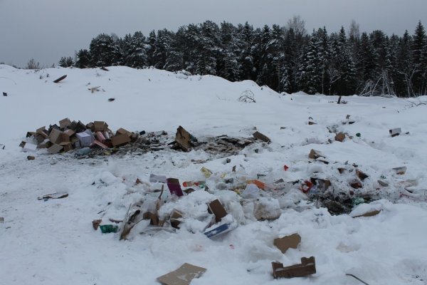 Зимняя свалка