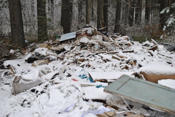 Свалка строительного мусора в лесу