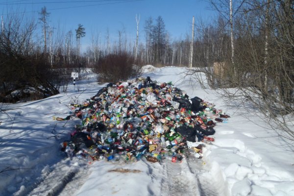 Полигон ТБО Княжьи горы