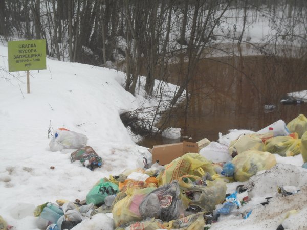 Мусор в лесу зимой
