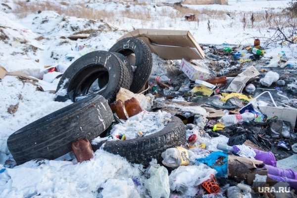 Мусорный полигон зима