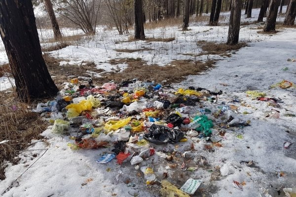 Мусор в лесах
