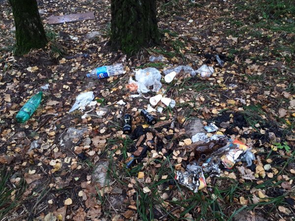 Мусор на природе