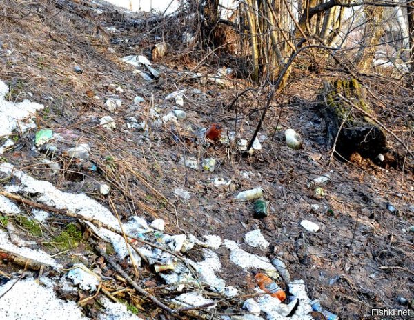 Мусор после зимы