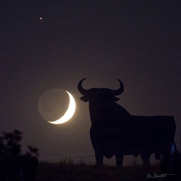 Луна в тельце