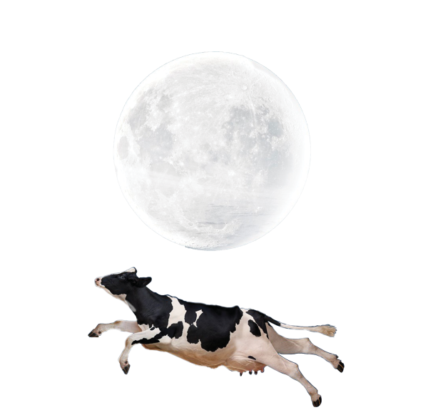 Летающая корова