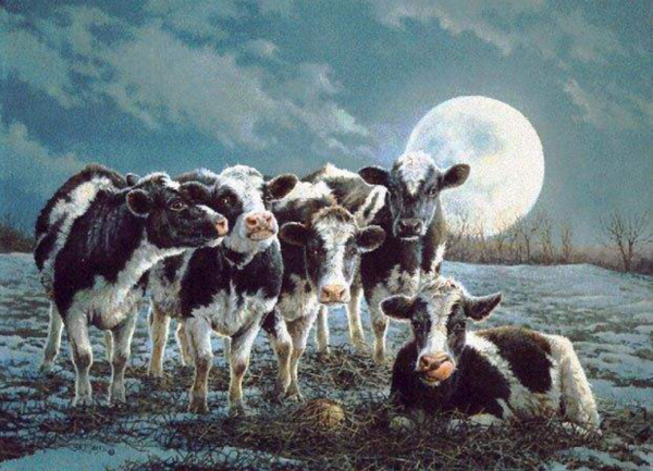 Коровы в тумане вышивка