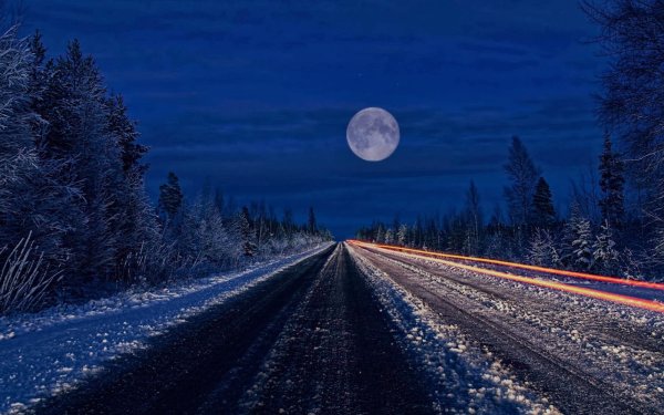 Дорога ночью