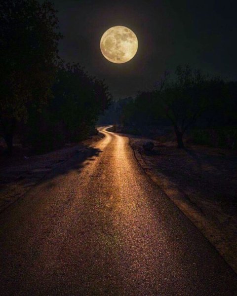 Лунная дорога