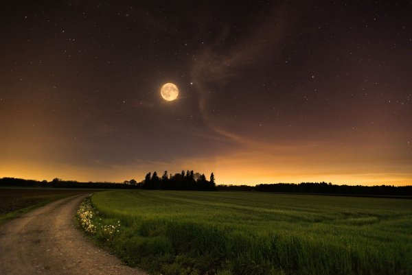 Лунная дорога