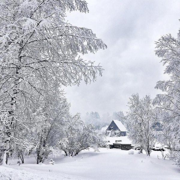 Деревня в снегу