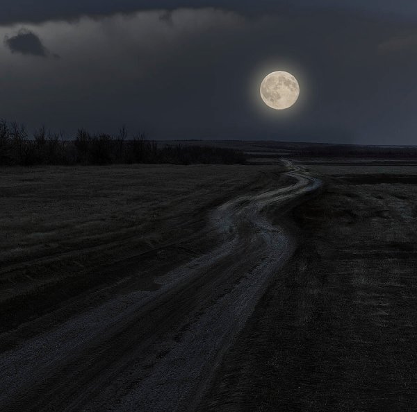 Луна освещает дорогу