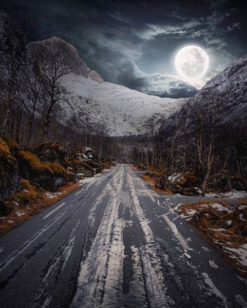 Дорога в лесу ночью