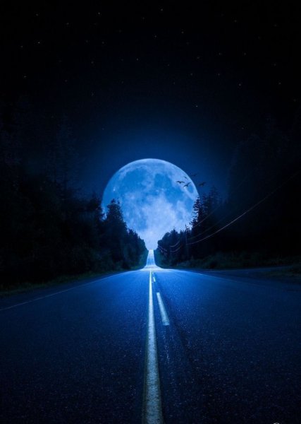 Ночь Луна дорога