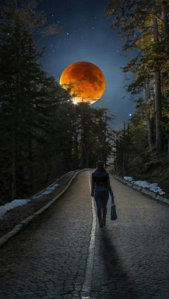 Лунная дорога