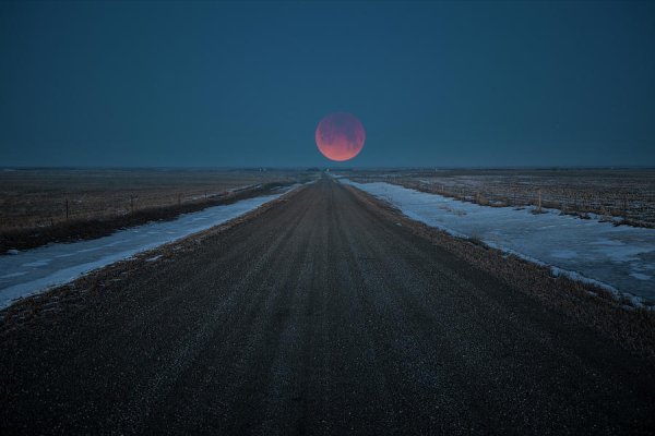 Дорога под луной