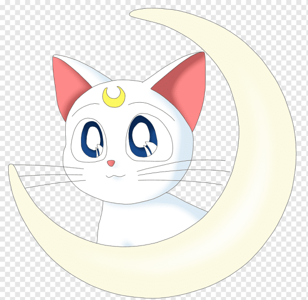 Артемис Сейлор Мун кошка