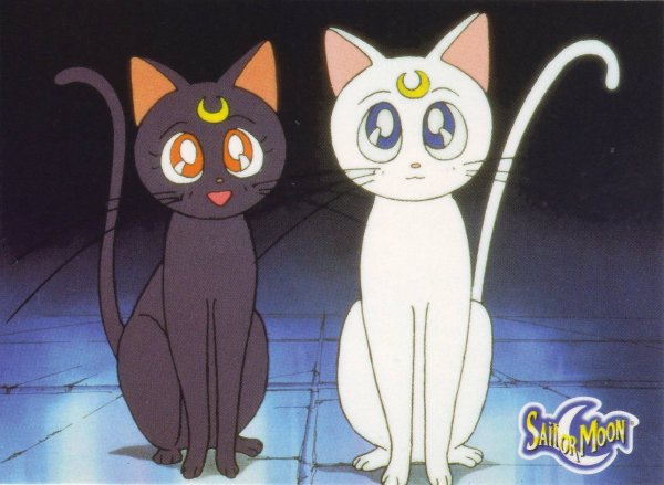 Кошка Луна из Сейлор Мун