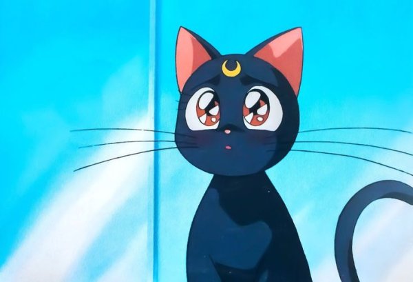 Кошка Луна из Сейлор Мун