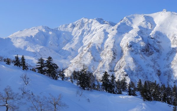 Абхазия горы зима лес