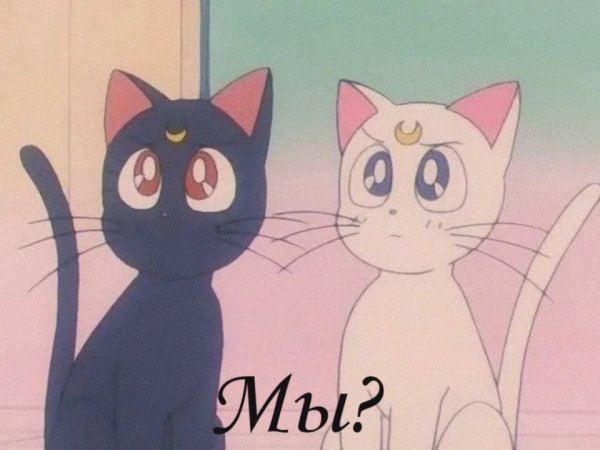 Сейлормун кот Артемис