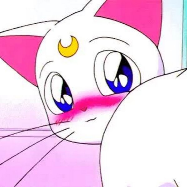 Сейлор Мун белая кошка