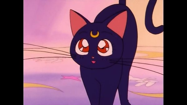 Сейлормун кошка Луна