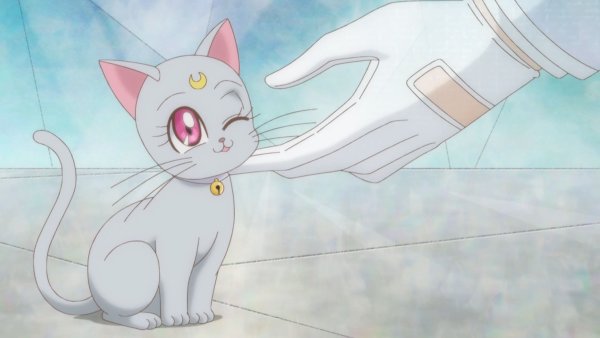 Аниме Сейлор Мун кошки