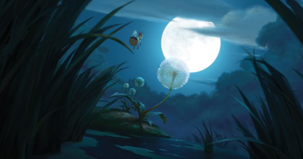 Светлячок и Луна