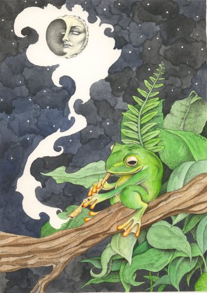 Лягушонок арт