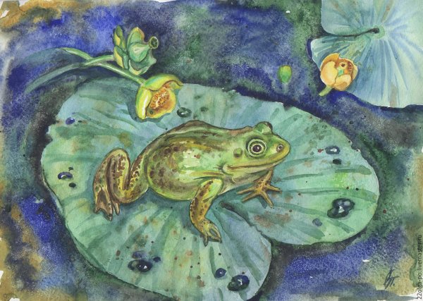 Михаил пришвин Лягушонок