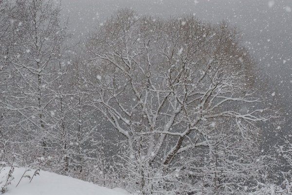 Падающий снег