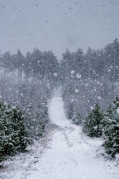 Падающий снег