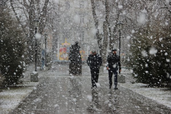 Хлопья снега в городе