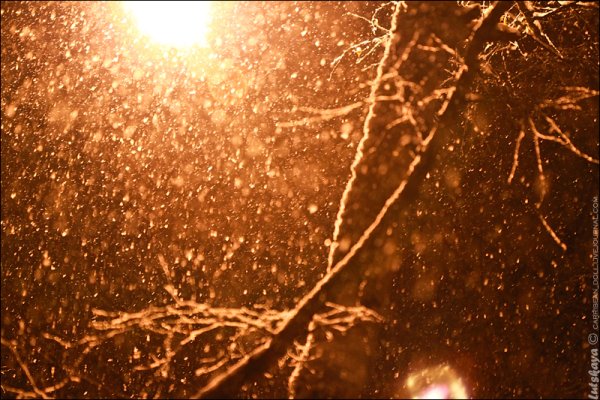 Снег в свете фонаря