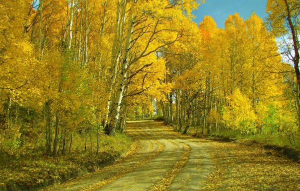 Осенний пейзаж
