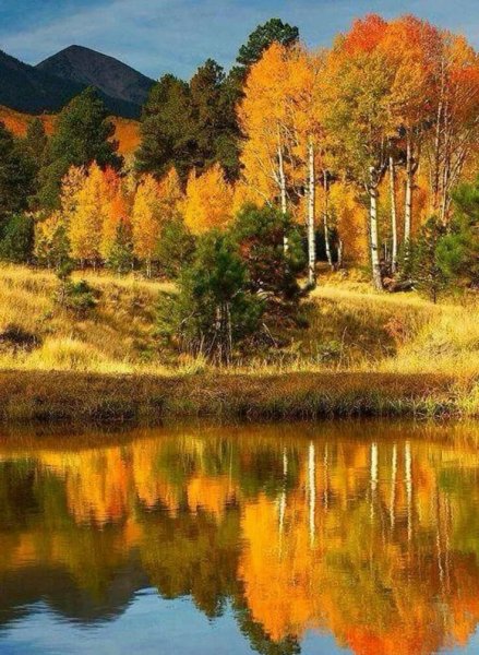 Сентябрь природа