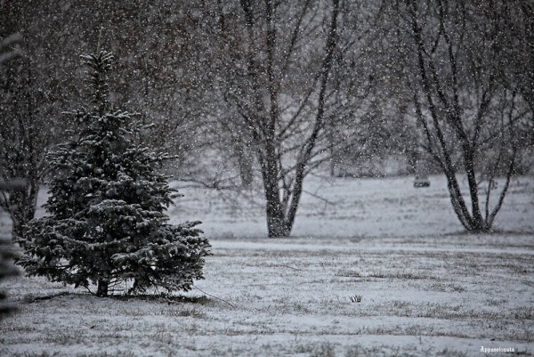 Свиридов Пастернак снег идёт