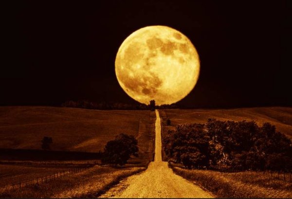 Желтая Луна