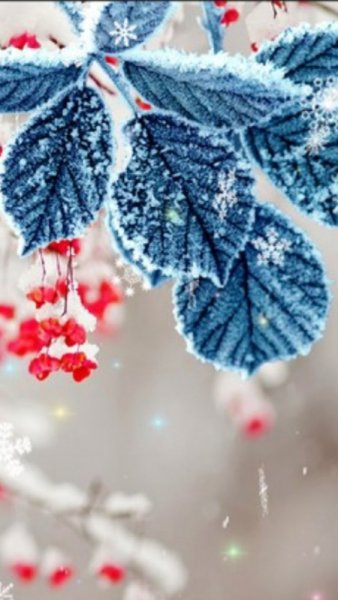 Красивая зимняя заставка на самсунг