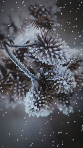 Зима снег снежинки