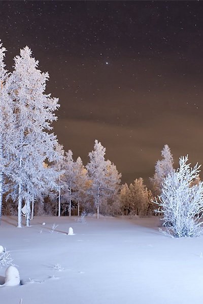 Снежная природа новый год