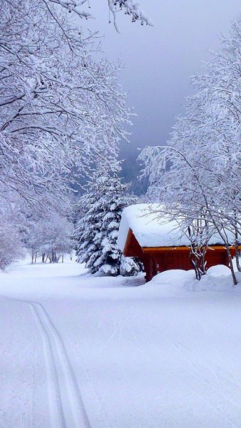 Красивая зима