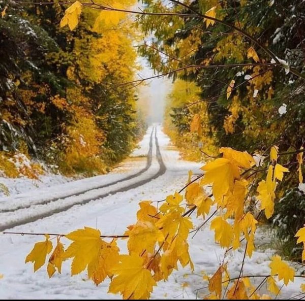 Осень снег