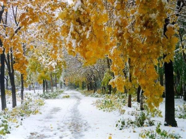 Первый снег красиво