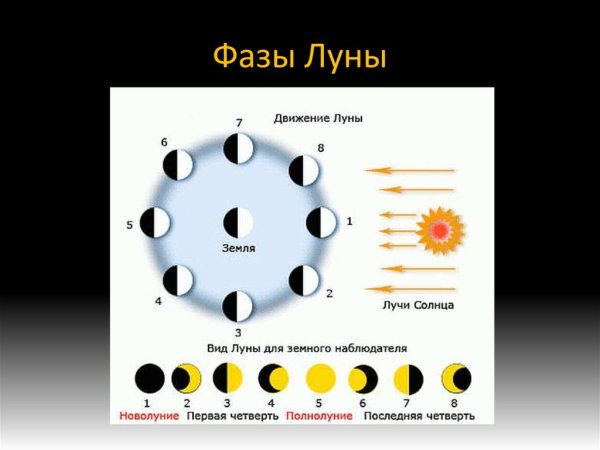 Схема лунных фаз