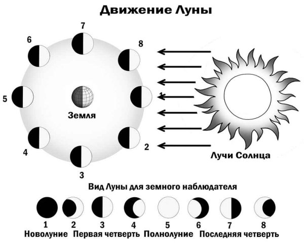 Фазы Луны схема фаз